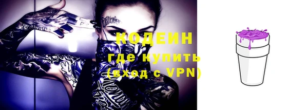 молекула духа Горно-Алтайск