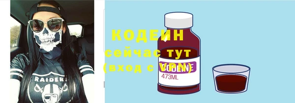 молекула духа Горно-Алтайск