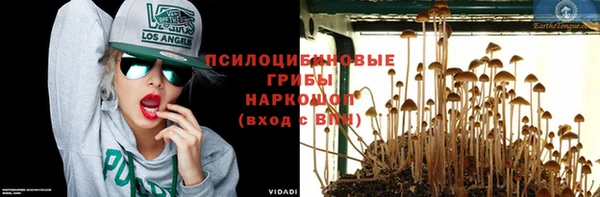 бошки Волосово